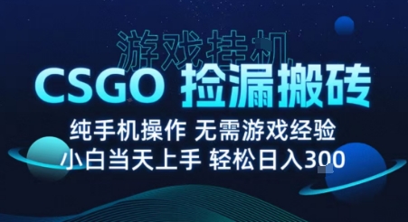 8月最新游戏搬砖，CSGO纯挂G，不需要玩游戏，实现真挂G，月入1W+【揭秘】-优创云