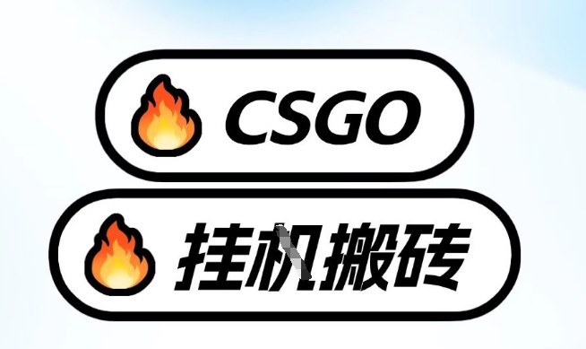 真全网独家CSGO挂G，最新玩法,单日捡漏1K+，不用电脑，不用打游戏【揭秘】-优创云