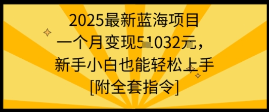2025最新蓝海项目一个月变现1w+新手小白也能轻松上手【附全套指令】-优创云